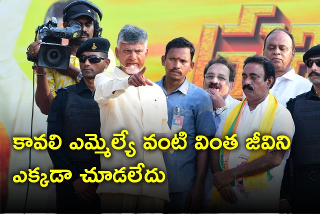 Chandrababu comments on Kavali MLA