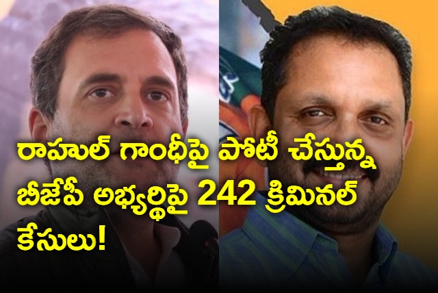 BJP Candidate Against Rahul Gandhi Has 242 Cases