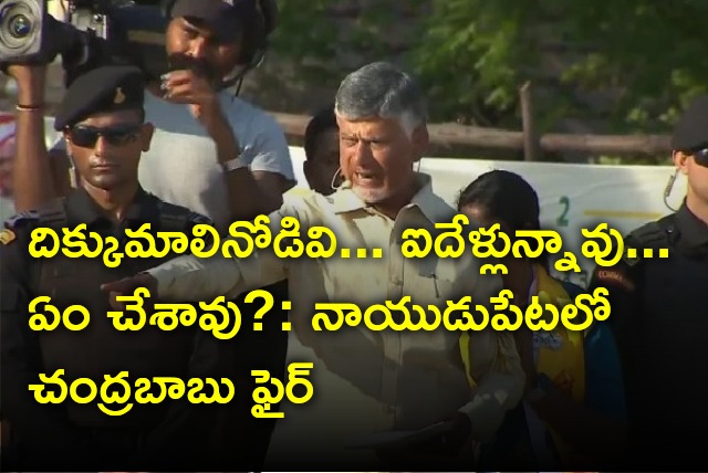 Chandrababu take a jibe at CM Jagan in Naidupeta Praja Galam rally