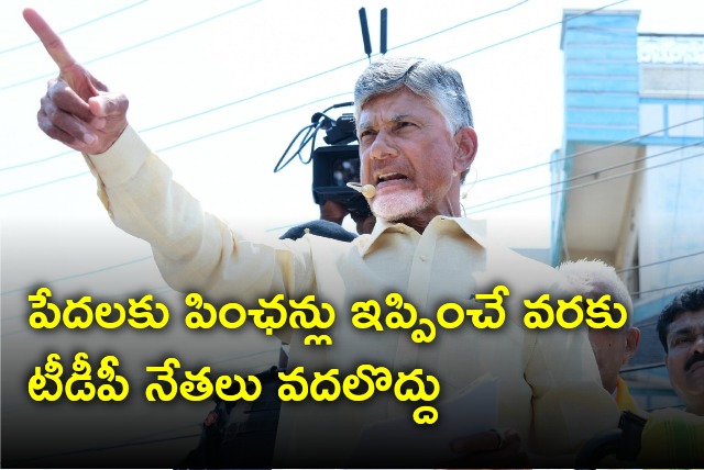 Chandrababu directs TDP cadre on pensions and volunteers 