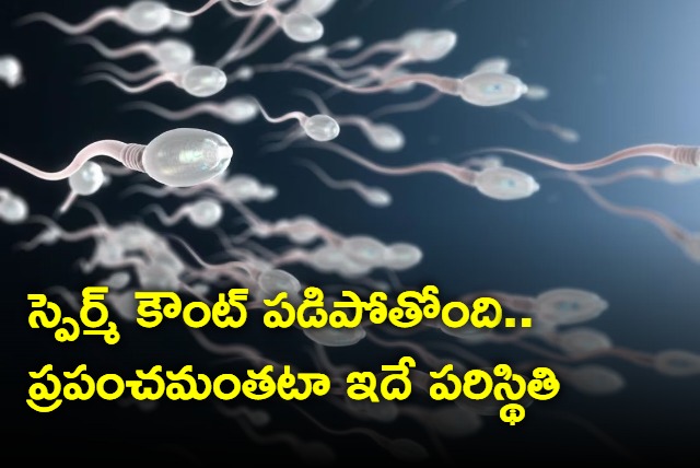 Human Sperm Count on Decline Finds Study