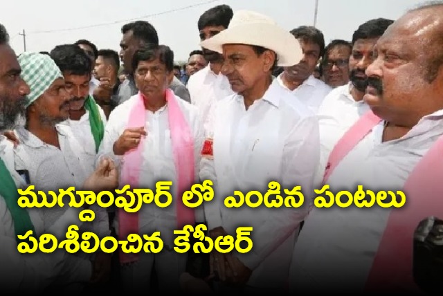 KCR Polam Baata 