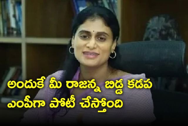 YS Sharmila on YSRCP