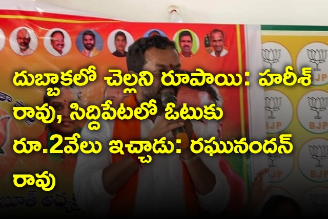 Raghunandan Rao versus Harish Rao in Medak