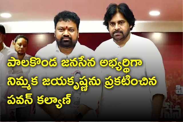 Pawan Kalyan announced Nimmaka Jayakrishna as Palakonda Janasena candidate 