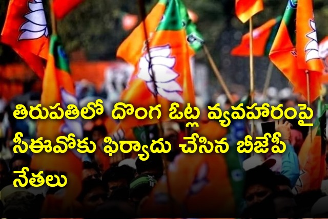 BJP leaders met CEO and complains against bogus votes in Tirupati