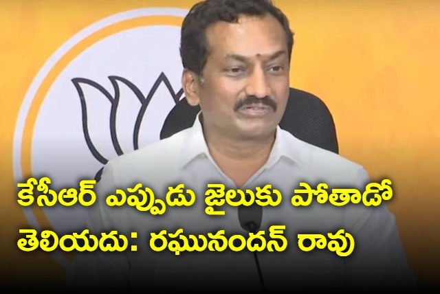 Raghunandan Rao predicts kcr will go jail