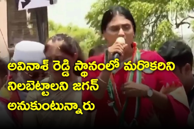 Jagan is thinking of changing Avinash Reddy says YS Sharmila