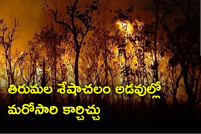 Wild fire at Tirumala Seshachala forest