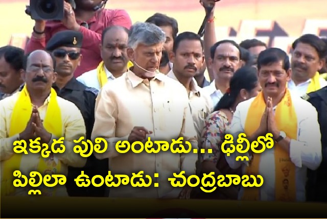 Chandrababu slams CM Jagan in Aluru rally