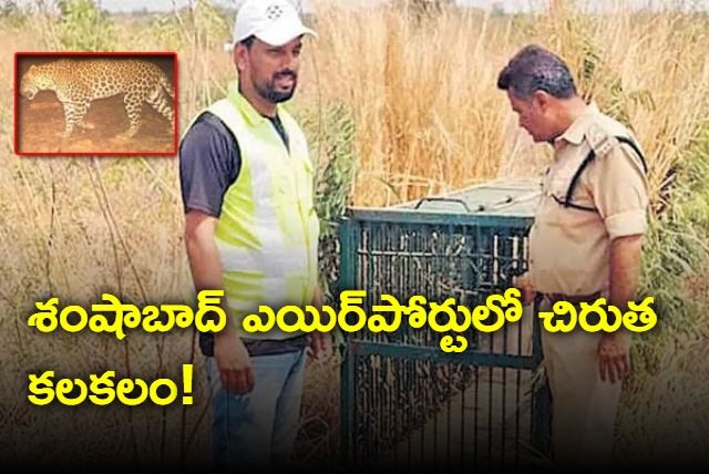 Leopard Spotted In Shamshabad Airport