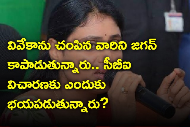 Jagan protecting YS Viveka killers says YS Sharmila