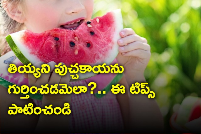 Tips For Find Sweet And Juicy Watermelon