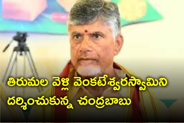 Chandrababu visits Tirumala this evening