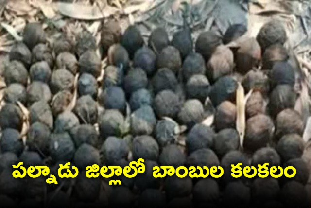 Bombs In Ysrcp Leaders Houses