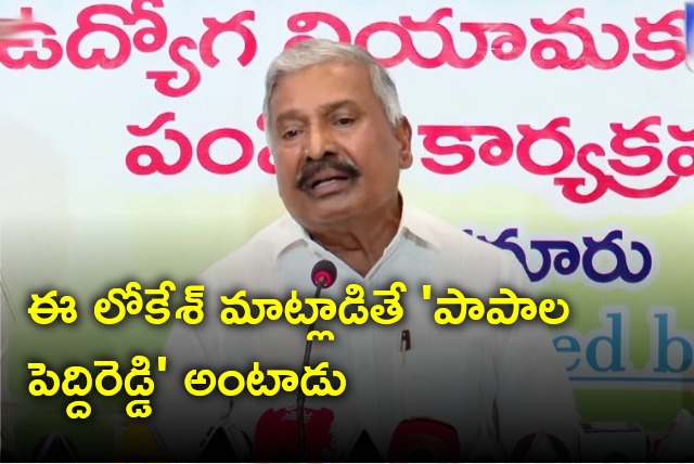 Peddireddy take a jibe at Nara Lokesh and Devineni Uma