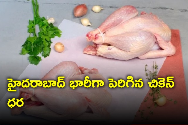 Chicken rate in hyderabad touched sky 