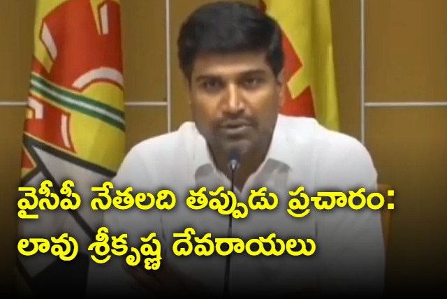 TDP Senior Leader Lavu SriKrishna Devarayulu Press Meet At Mangalagiri