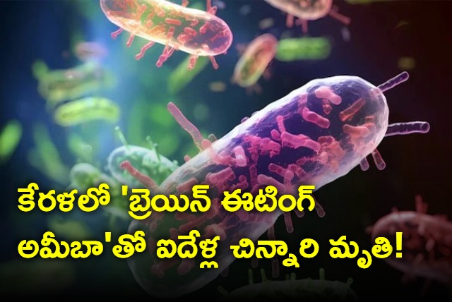 5 year old girl in Kerala dies of infection caused by brain eating amoeba after dip in a pond