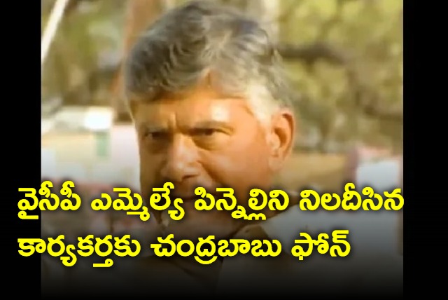 Chandrababu praises tdp supporter who questioned MLA Pinnelli