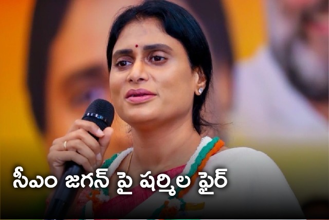 YS Sharmila take a dig at CM Jagan