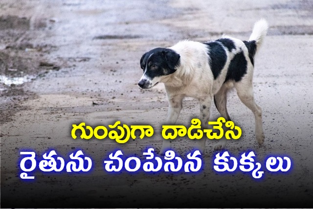 Farmer Killed In Dogs Attack In Parvathipuram Manyam District