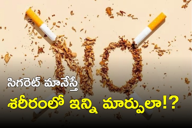 World No Tobacco Day 2024 A timeline of healthy changes in your body after you quit smoking