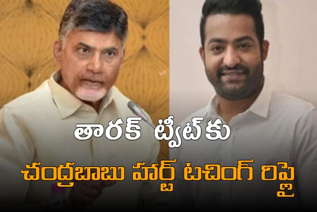 TDP President Nara Chandrababu Naidu Reply to Jr NTR Tweet 