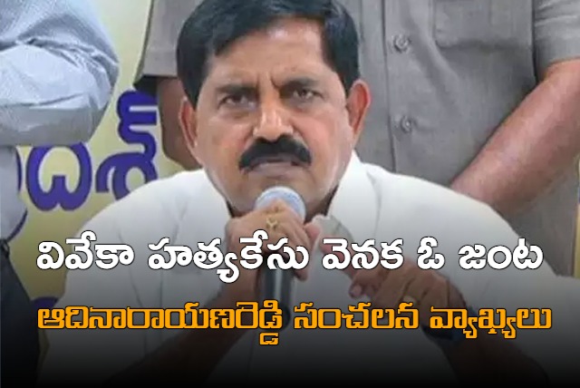 TDP leader Adinarayana Reddy sensational comments on Viveka murder case