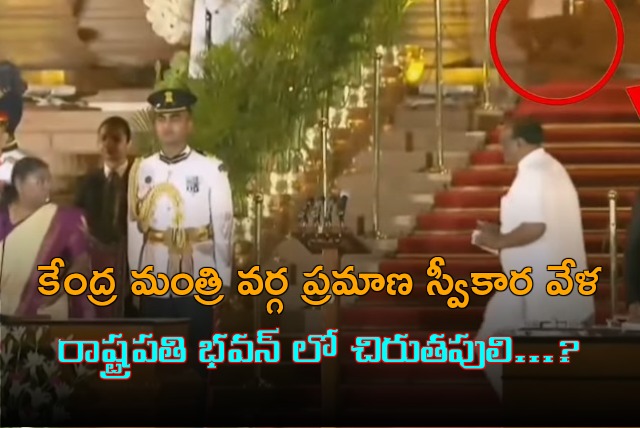 Leopard like animal spotted at Rashtrapati Bhavan during NDA oath taking ceremony yesterday