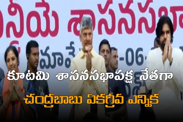 Chandrababu unanimously elected as the leader of the alliance legislative party