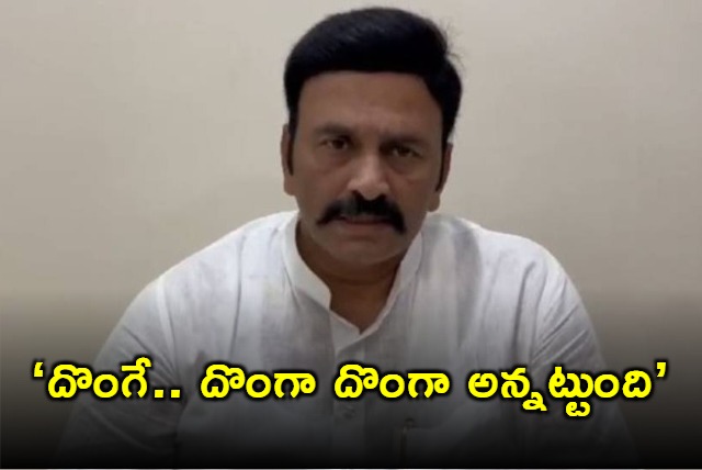 Raghurama Krishnaraju lashes out at YCP leader 