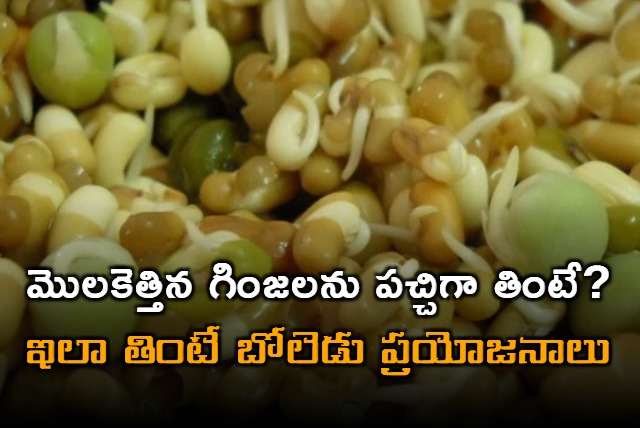 Some tips and Safely Consume of raw sprouts by ap7am