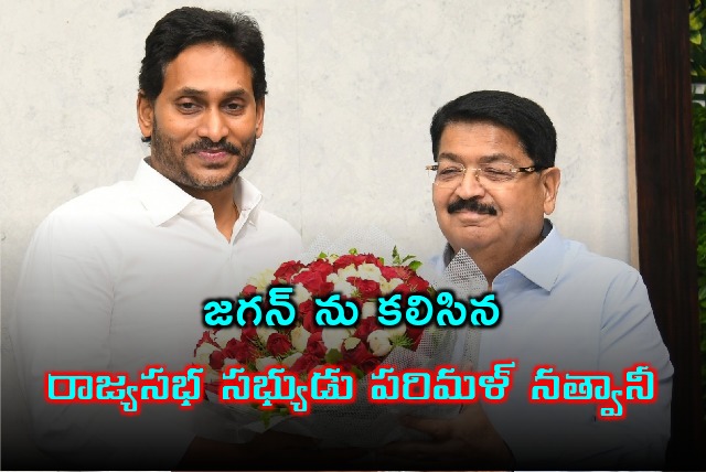 Parimal Nathwani met YS Jagan in Tadepalli