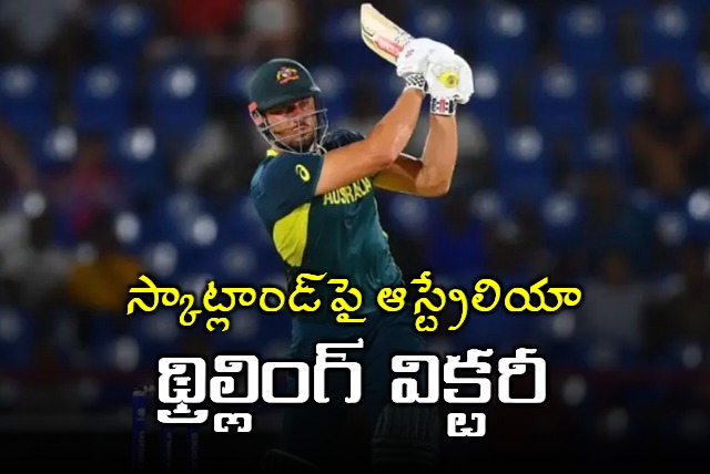 Australia did a favour to England into Super Eight stage by defeating Scotland in T20 World cup 2024