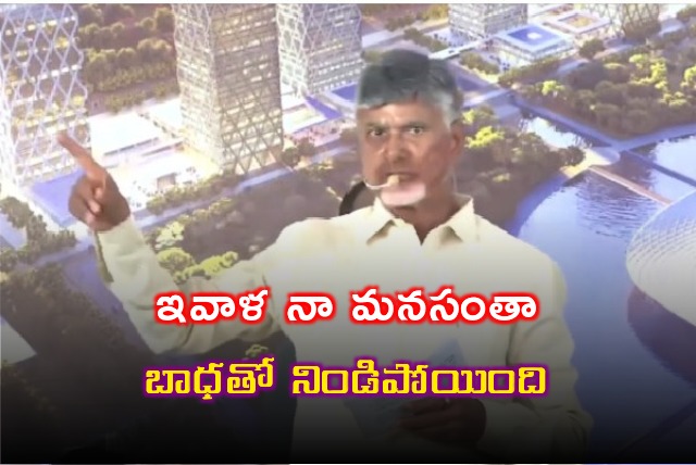 CM Chandrababu press meet after Amaravati visit