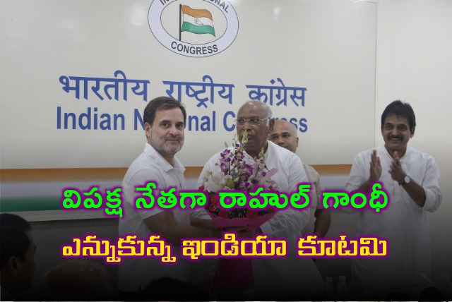 India Bloc elected Rahul Gandhi as opposition leader in Lok Sabha