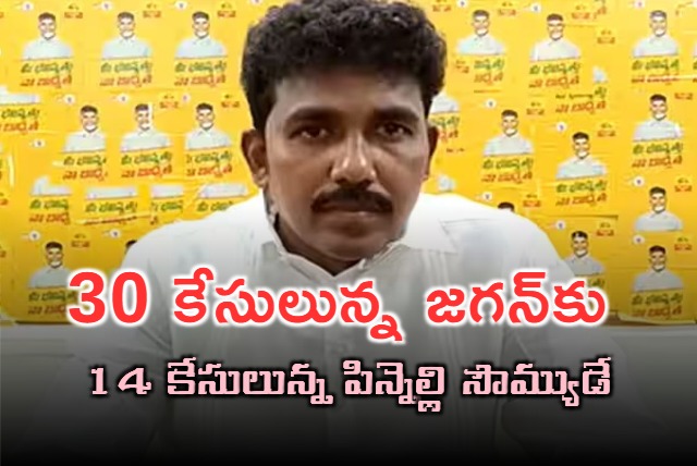 Madakasira MLA MS Raju Fires On YS Jagan On Pinnelli Issue