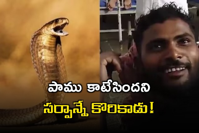 Snake bites man in Bihar he bites it back twice Reptile dies man survives