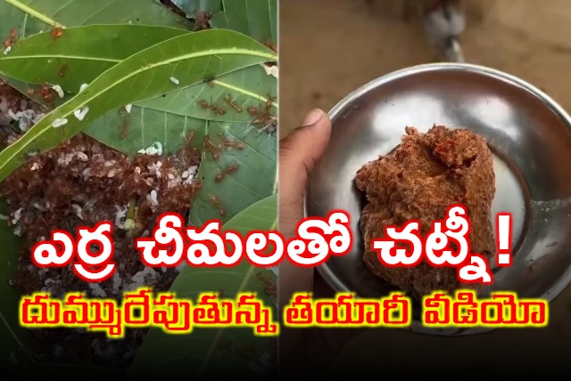 Red Ants Chutney Viral Video