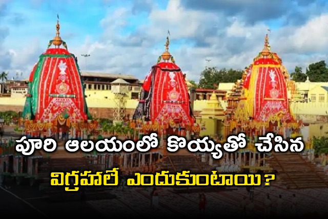 Puri Rathayatra Special