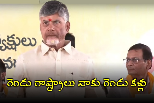 Chandrababu Speech at NTR Bhavan