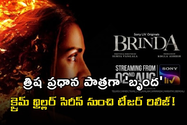 Brinda Web Series Update