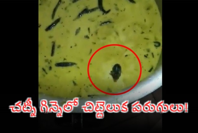 Mouse Appeared in Chutney Bowl in Sangareddy JNTU College Canteen