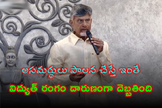 CM Chandrababu releases white paper on energy sector 