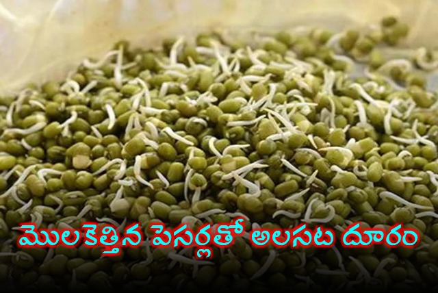 Eat A Cup Of Moong Sprouts To Get Tons Of Health Benefits