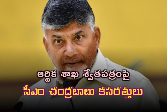 CM Chandrababu works on finance ministry white paper