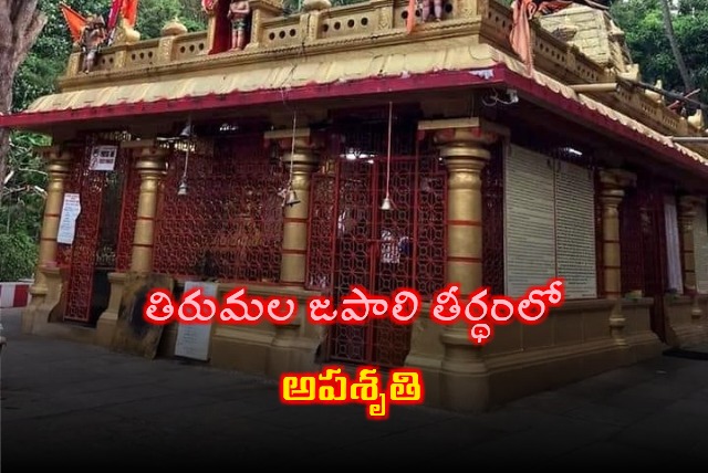 Tragic incident took place in Tirumala Japali Tirth