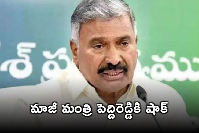 Peddireddi Ramachadra Reddy followers resigns to YSRCP