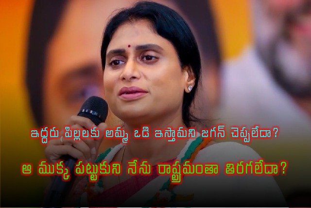 YS Sharmila fires on YCP leaders 